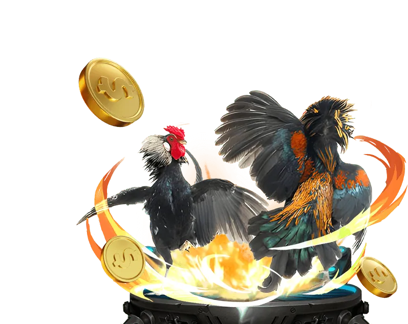 Đá Gà Trực Tiếp 566win